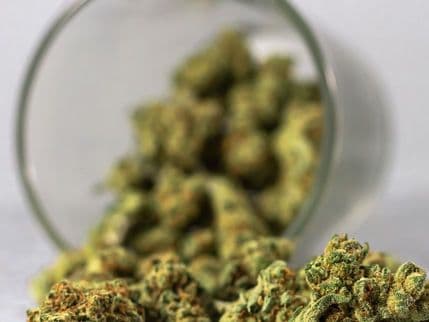 Yes, Cannabis Goes Bad, BUT Proper Storage Can Help