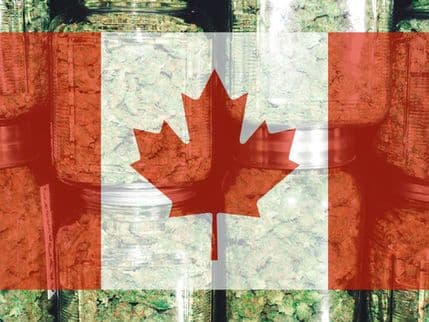 Why Canadian Cannabis Packaging is the Smart Choice Amid Upcoming U.S. Tariffs