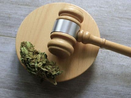 Canadian Cannabis Laws Condensed
